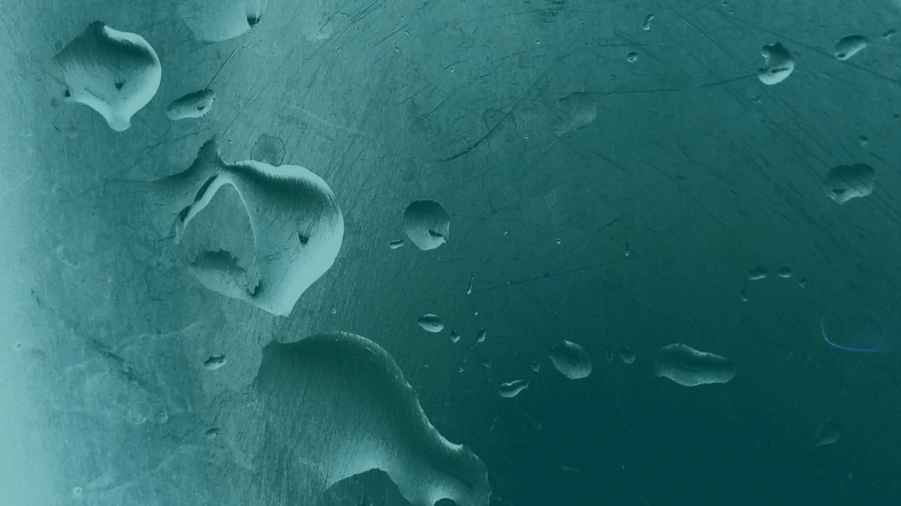 Interplanetary File System